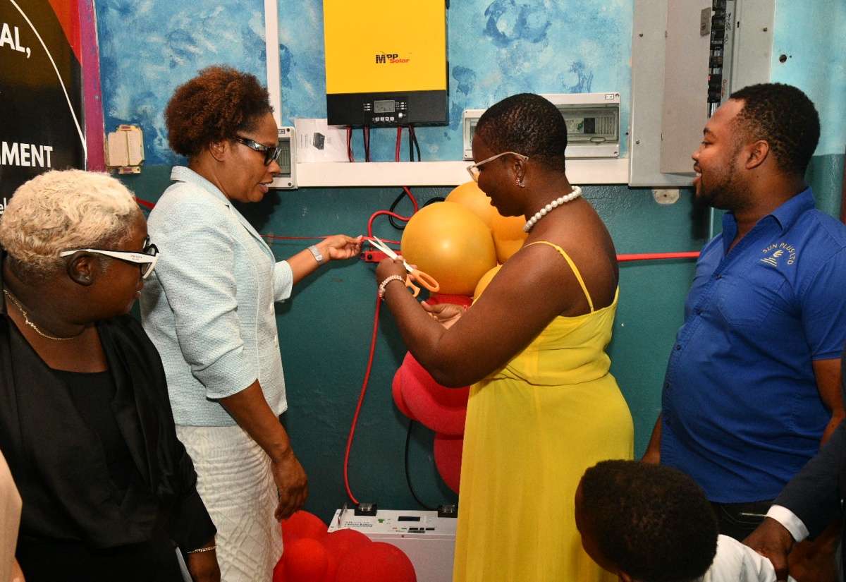 Ribbon-cutting for Solar System (PHOTOS)
